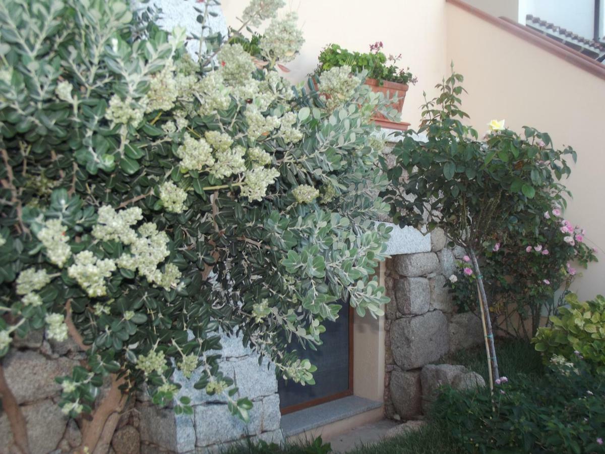 Casa Elena Apartment Cala Gonone Ngoại thất bức ảnh